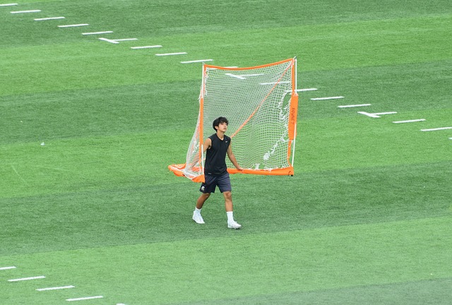 高的水平
